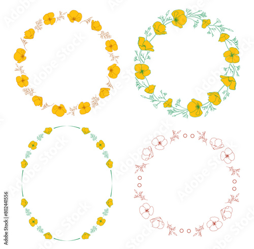 round frames with orange Eschscholzia flowers. California poppy - vector elements