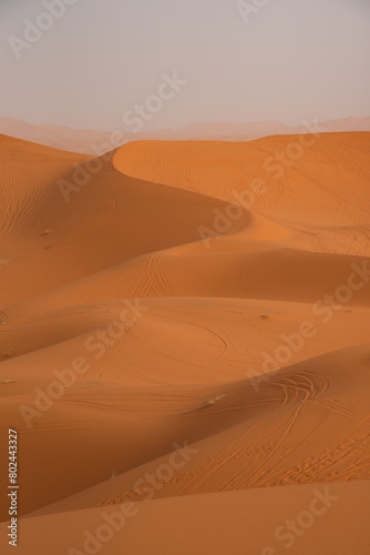 desert