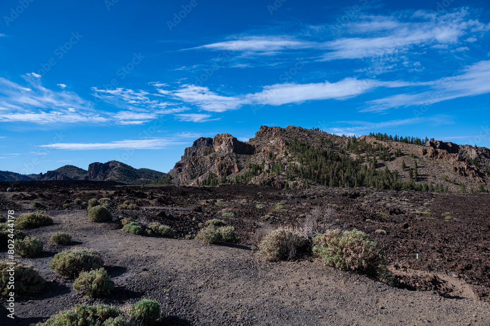 Fototapeta premium volcanic landscape las Narices, Tenerife