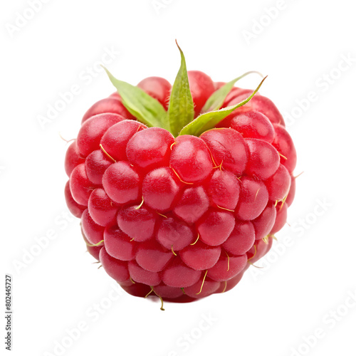 Pineberry fruit isolated on transparent background