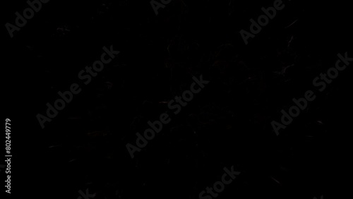 Fire Shockwave Logo Reveal On Alpha