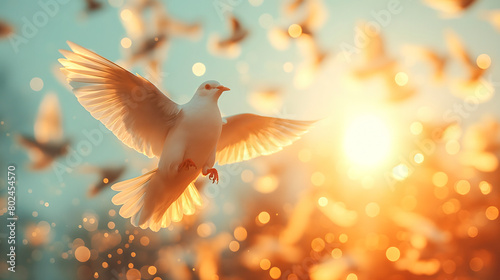 White dove flying in the blue sky at sunset or sunrise with sun rays
