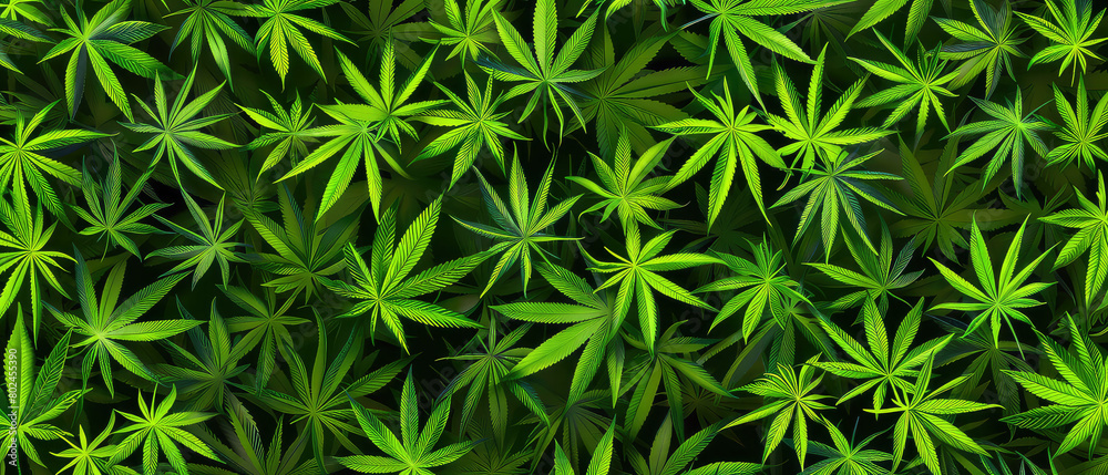 Luminous green cannabis sativa pattern display