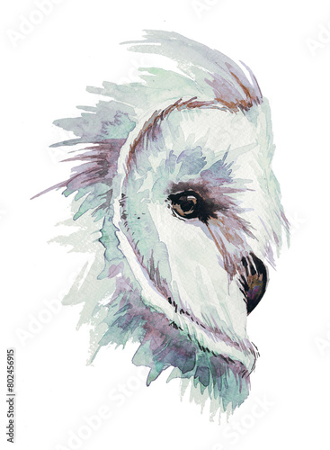 Owl portrait artwork. watercolor wol illustartion isolated on white. photo