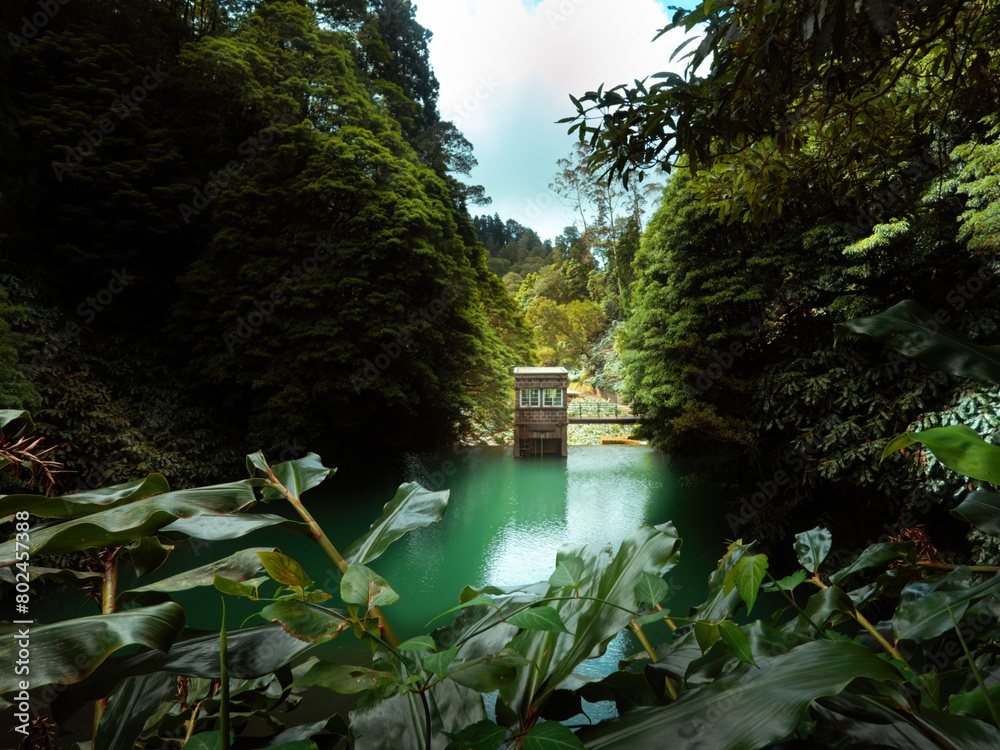 Fototapeta premium The old water power plant in the forest on the Salto do Cabrito trail in San Miguel, Azores.