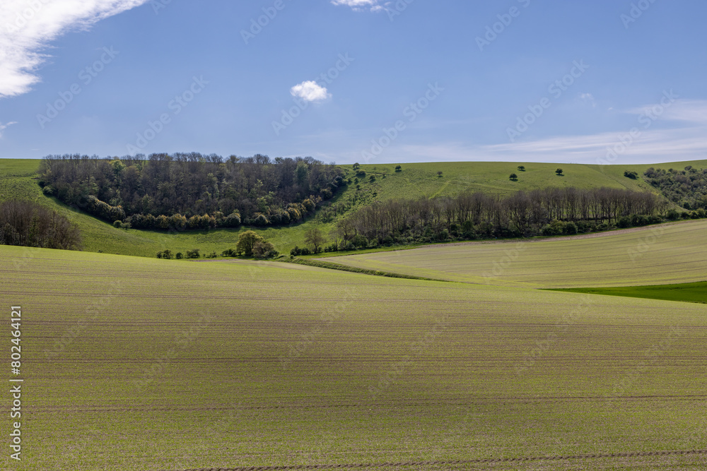 Naklejka premium Farmland in Sussex, on an early spring day