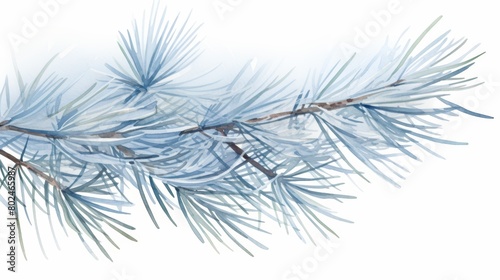 Artistic watercolor showing icy pine needles with a light blue wash  water color  drawing style  isolated clear background