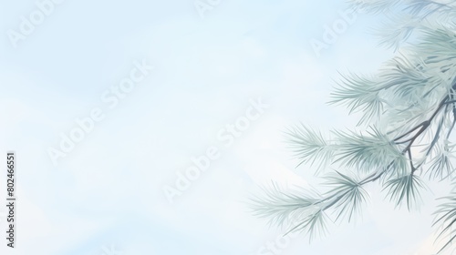 Watercolor of delicate frosted pine needles against a soft pale blue sky  water color  drawing style  isolated clear background