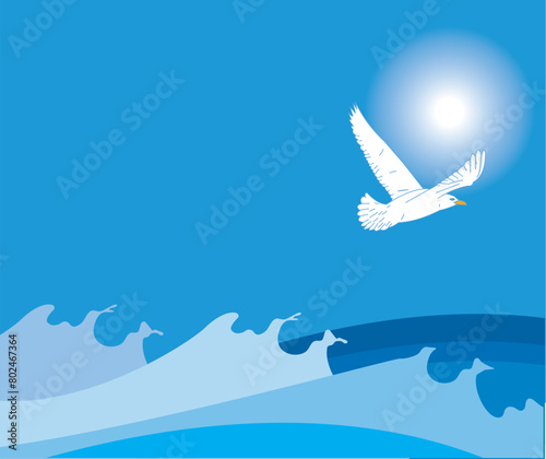 sea and seagull
