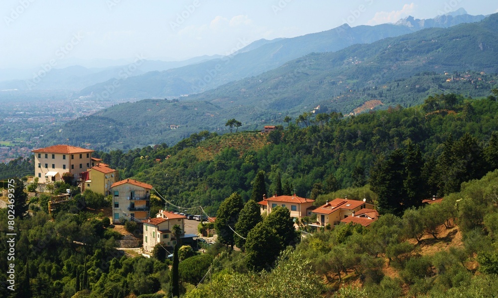 Paesaggio della Versilia con le Alpi Apuane, Toscana, Italia