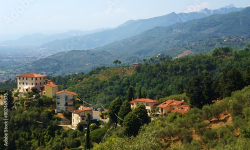 Paesaggio della Versilia con le Alpi Apuane, Toscana, Italia photo