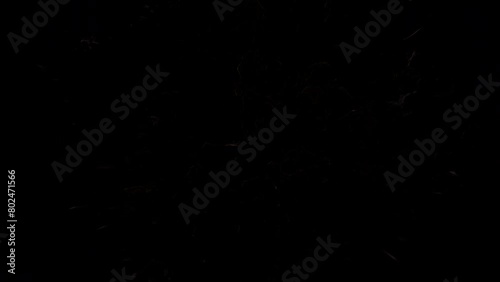 Fire Shockwave Logo Reveal