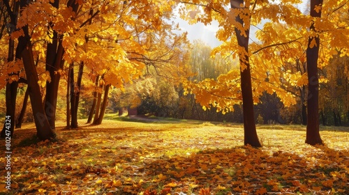 A vibrant autumn scene of trees with golden leaves  creating an enchanting and colorful backdrop for fall events.
