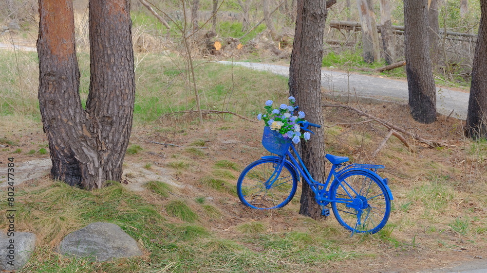 bike in the park bike in the park