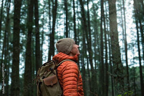 Mature man in cap, orange jacket and backpack gazing at a pine forest, love of nature and sustainability.