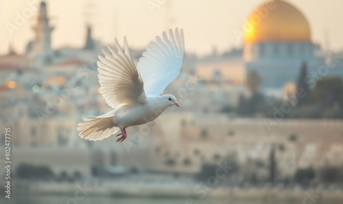 White dove flying over Jerusalem with blurred background of ancient city