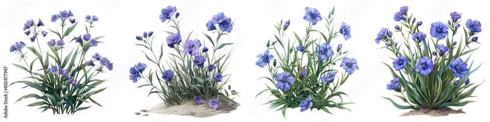 Prairie Spiderwort Plants Hyperrealistic Highly Detailed Isolated On Transparent Background Png File