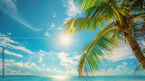 Palm tree s vibrant green leaves sway gently against the backdrop of a sun-kissed tropical beach.