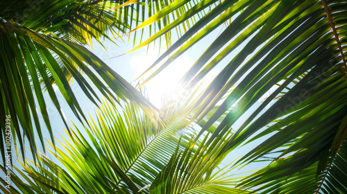 Palm tree s vibrant green leaves sway gently against the backdrop of a sun-kissed tropical beach.