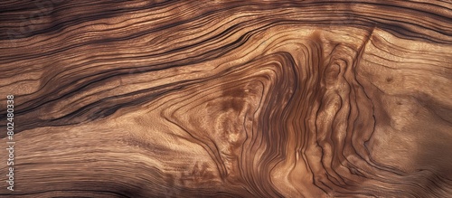 Walnut tree texture close up. Wide walnut wood texture background. Walnut veneer is used in luxury finishes. Natural wood surface pattern.