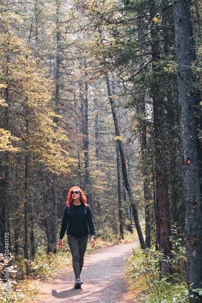 Woman hiking along a trail through the woods on a sunny day Woman hiking along a trail through the woods on a sunny day