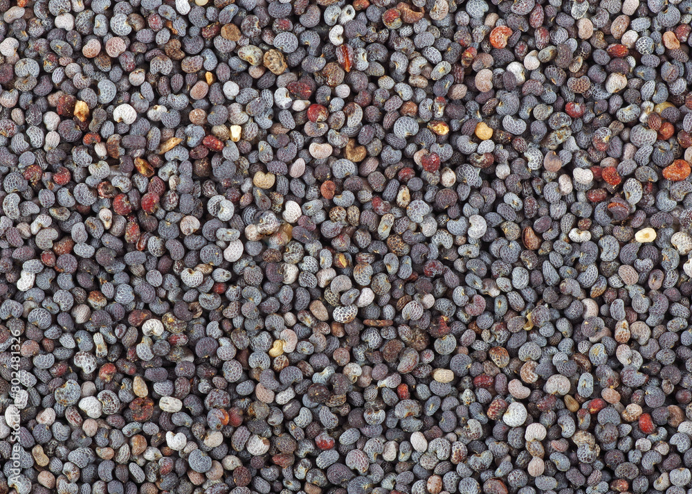 poppy seeds texture background. top view poppy seeds texture background. top view