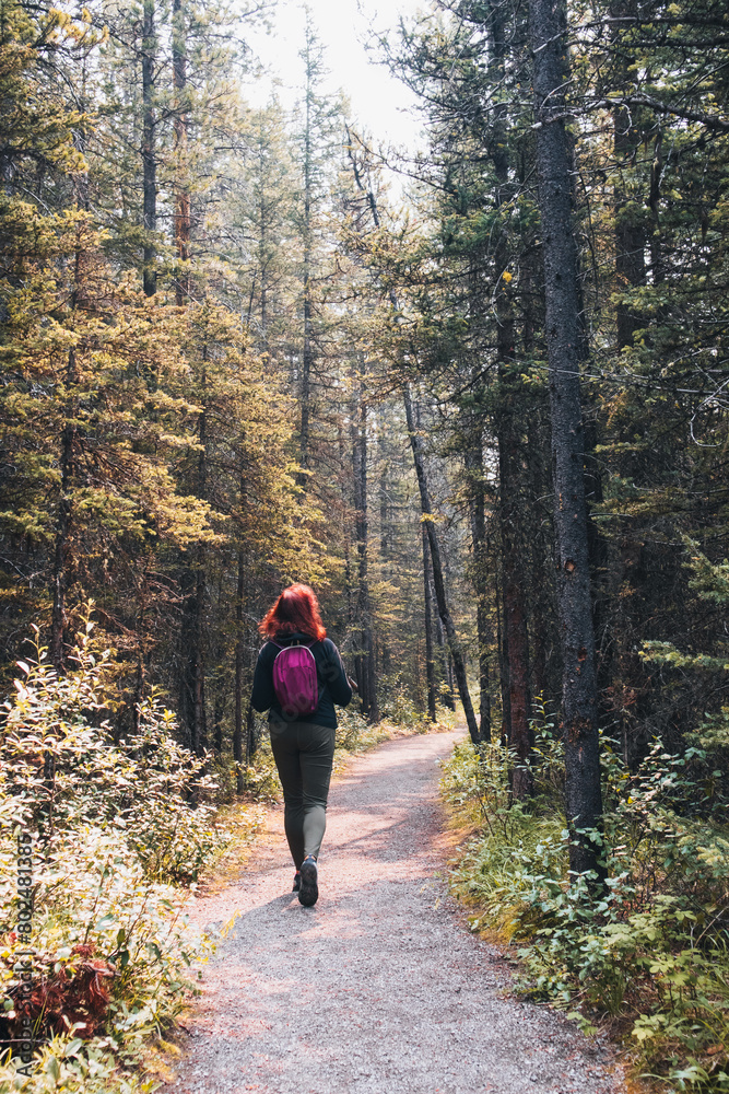 Woman hiking along a trail in the woods on a sunny day Woman hiking along a trail in the woods on a sunny day