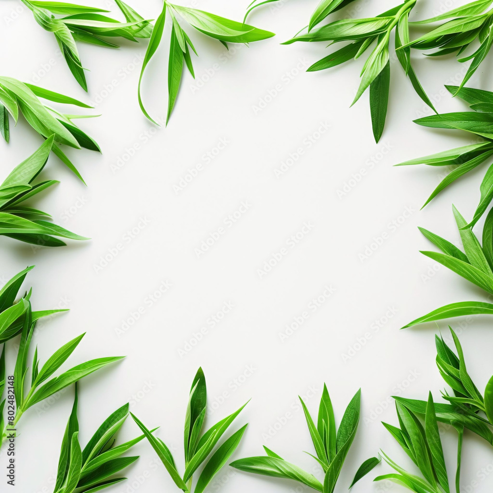 A row of green leaves are arranged in a line on a white background