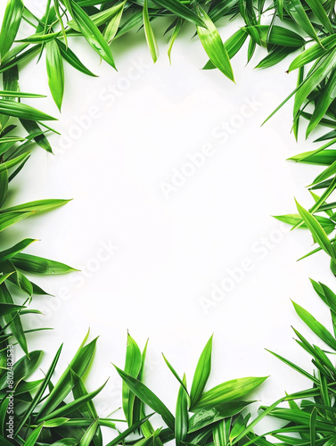 A row of green leaves are arranged in a line on a white background
