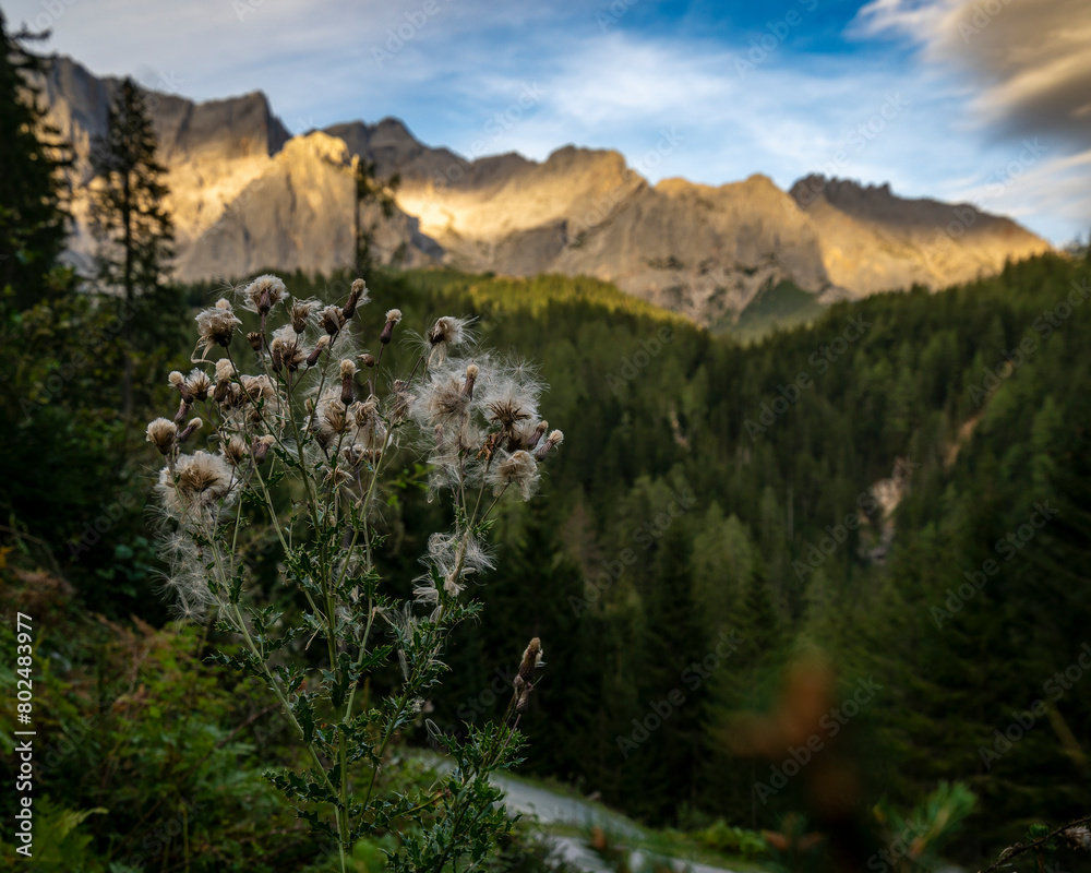 Dachsteinmassiv Dachsteinmassiv