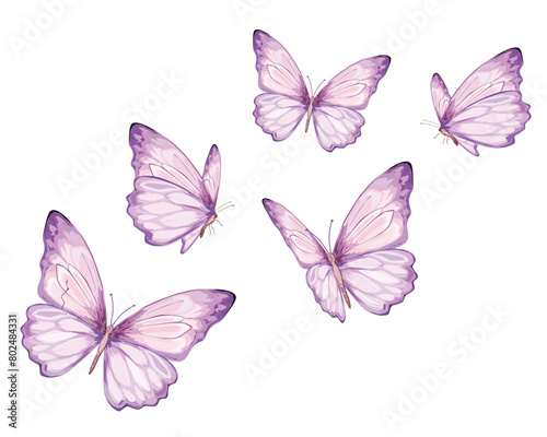 Wallpaper Mural Watercolor Butterflies Clipart Torontodigital.ca