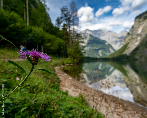 Obersee
Königssee, National Park Berchtesgandener Land, Bayern photo