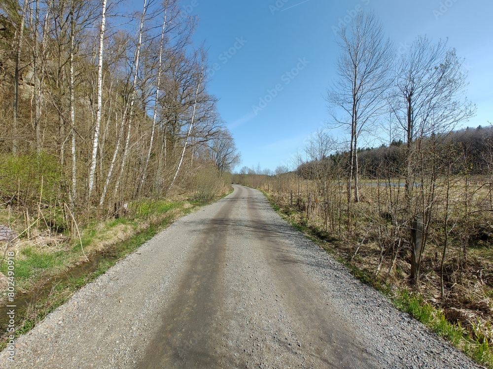 a dirt road in the countryside a dirt road in the countryside
