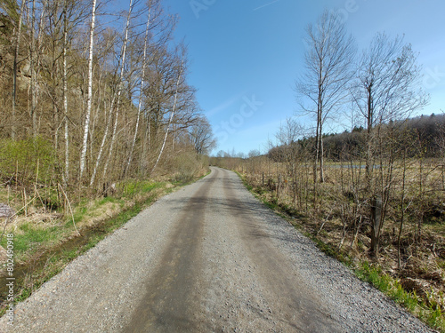 a dirt road in the countryside