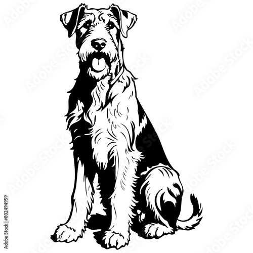 Airedale Terrier sitting hand drawn animal illustration, transparent background