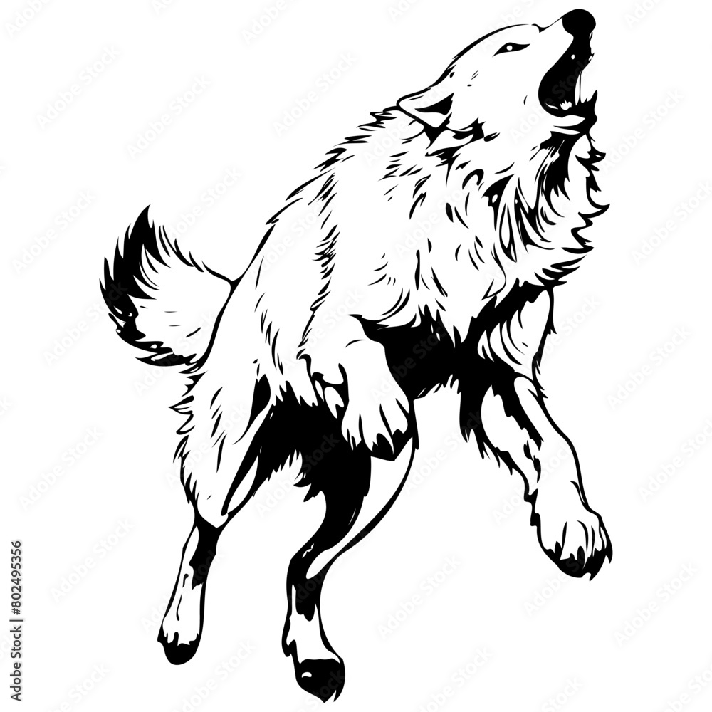 Obraz premium Engrave Arctic Wolf jumps drawing, animal head, line art black realistic sketches painting