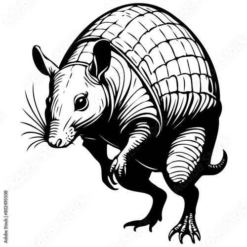 Realistic Armadillo jumps drawing, realistic hand drawing line art, pencil sketch, isolated silhouette