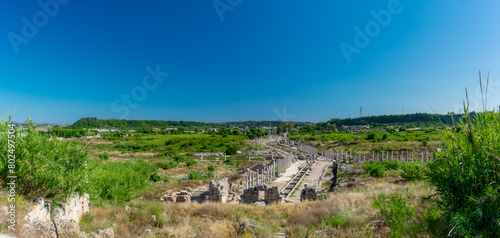 View from a height of the ancient city of Perge. Ancient city surrounded by dense green vegetation.