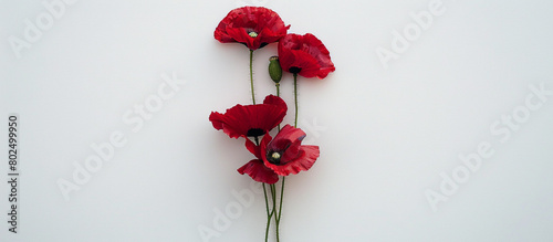 A single stem of elegant red poppies, arranged vertically to showcase their beauty against a pristine white background, all captured in stunning 32k resolution.