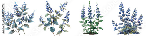 Blue Cohosh Plants Hyperrealistic Highly Detailed Isolated On Transparent Background Png File photo