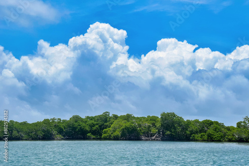 Riviera Maya LANDSCAPE