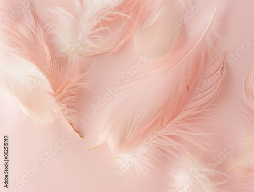 Abstract background with close-up of soft pink feathers in pastel colors. Background and texture.