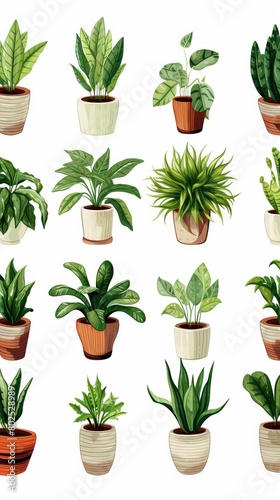 A collection of potted plants in various sizes and shapes