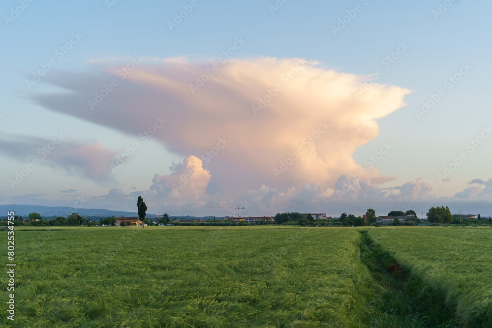 Large Cloud Hovering Over Green Field Large Cloud Hovering Over Green Field