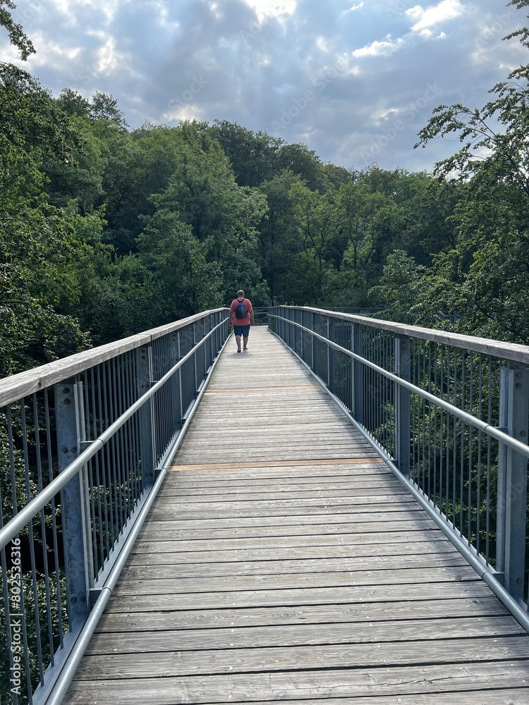 Obraz premium bridge over the river