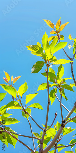   rvore com folhas verdes vibrantes e c  u azul claro
