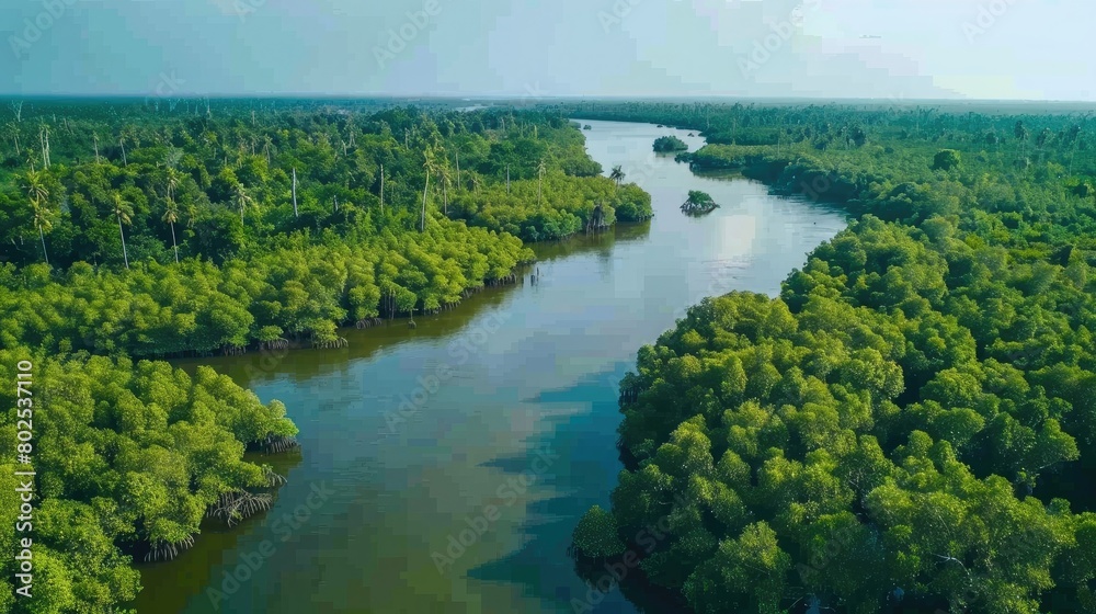 Sundarbans mangrove forest river trees sky view