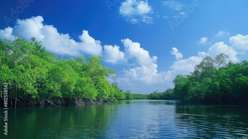 Sundarbans mangrove forest river trees sky view