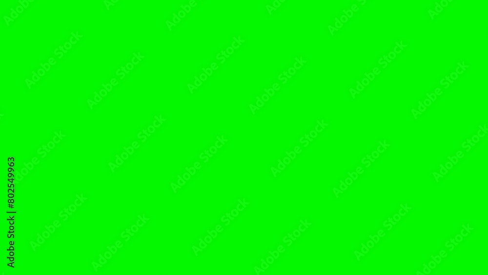 Rose petal falling with green background.3D rendering. fall 2 Clip start to end and loop animation .Element footage.Easy to use and change color. This work have alpha channel. Rose petal falling with green background.3D rendering. fall 2 Clip start to end and loop animation .Element footage.Easy to use and change color. This work have alpha channel.