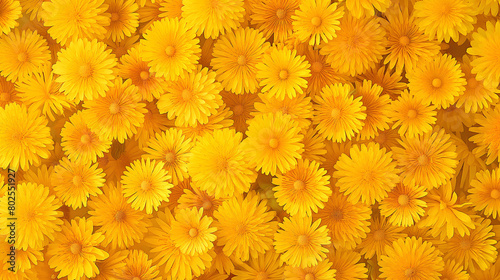 Summer background made of yellow flowers